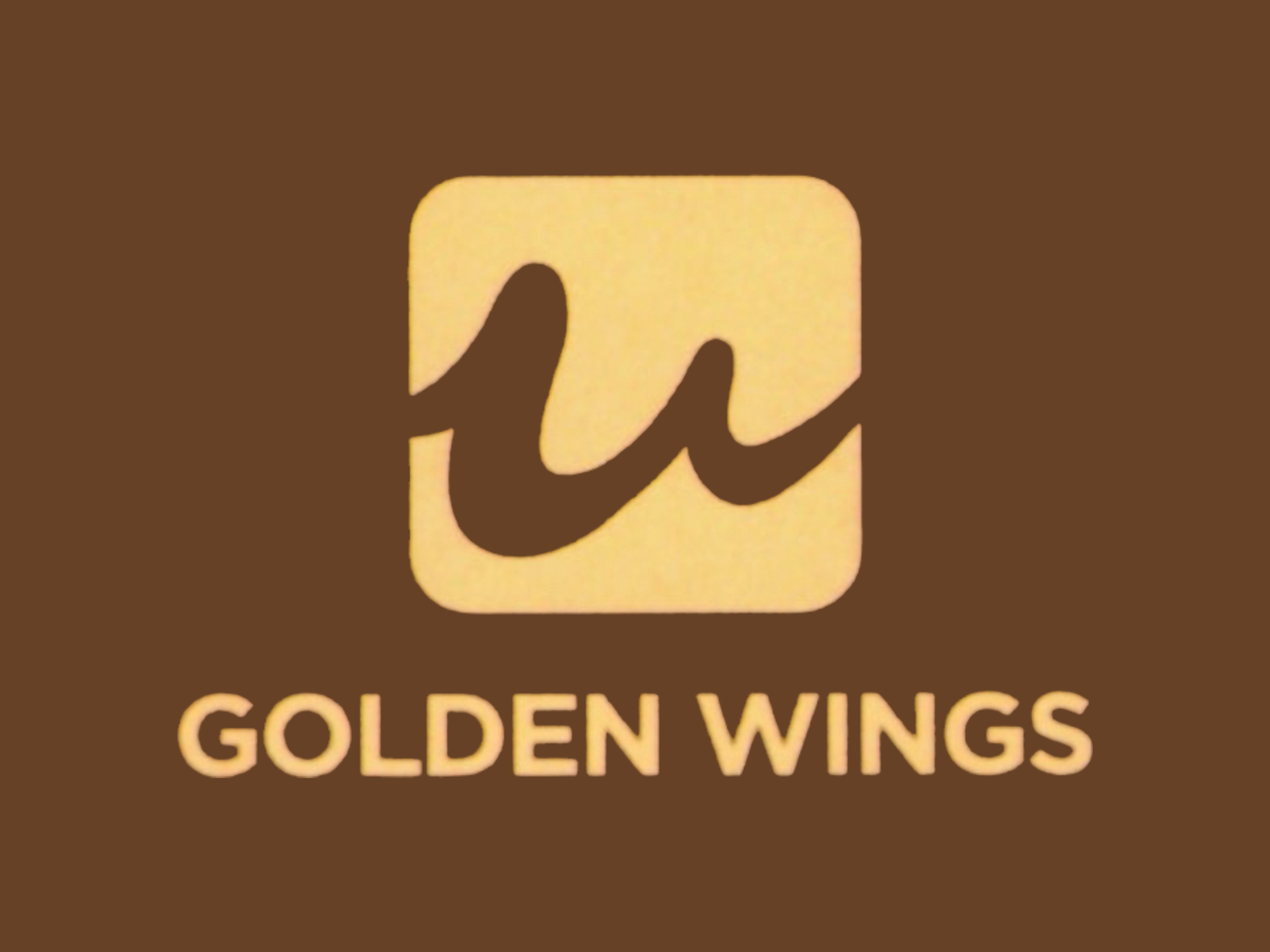 Golden wings logo: represents a symbol of achievement in retail - tech innovation. Aligns with ai - driven solutions like iscale (retail scale recognition), idetector (self - checkout loss prevention), and ihuman (digital human kiosks). Highlights commitment to edge ai, vision - based retail transformation.