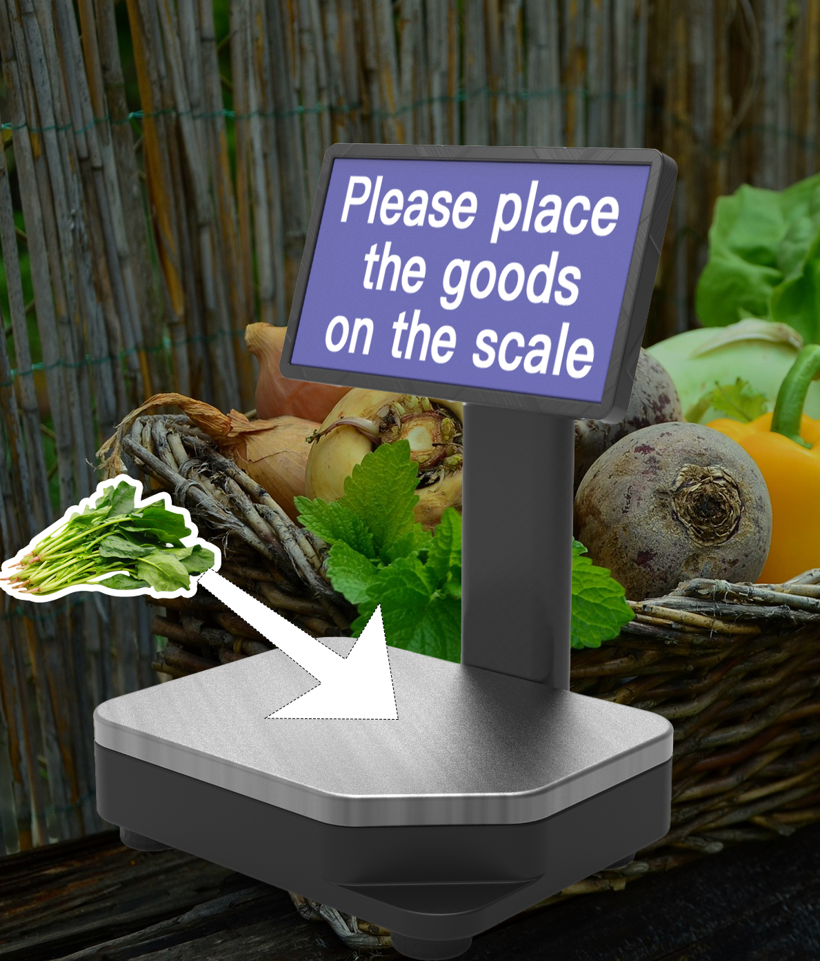 Iscale2 Retail scale with ai guidance, prompting to place goods on platform, fresh produce around