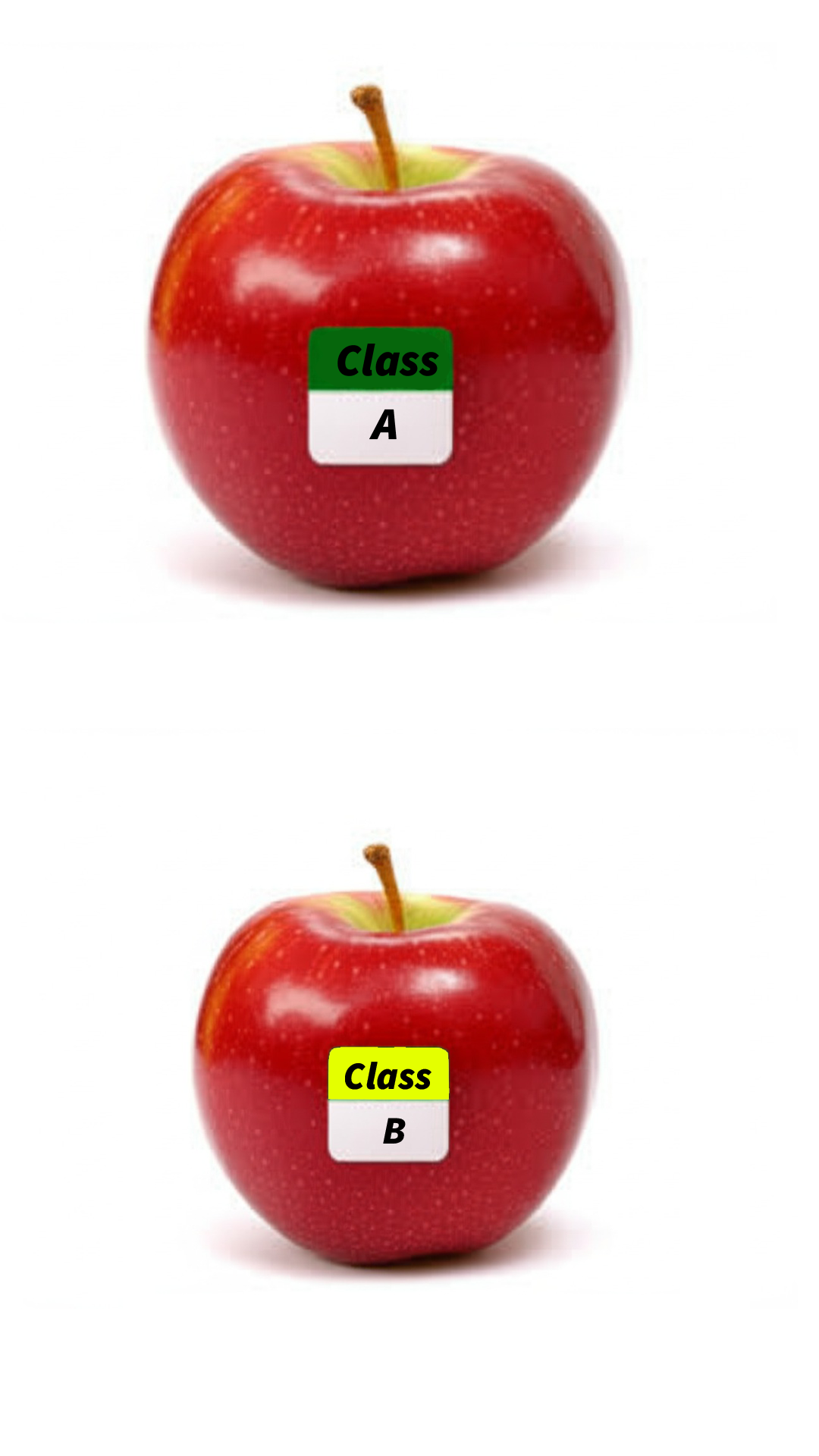 Iscale5 Two red apples with labels: ‘class a’ and ‘class b’, representing product grading in retail. Suitable for ai - assisted quality checks on an iscale based retail scale.